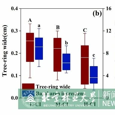 AFM | 北京林业大学水保学院科研团队在三北防护林干旱适应机制领域取得系列进展