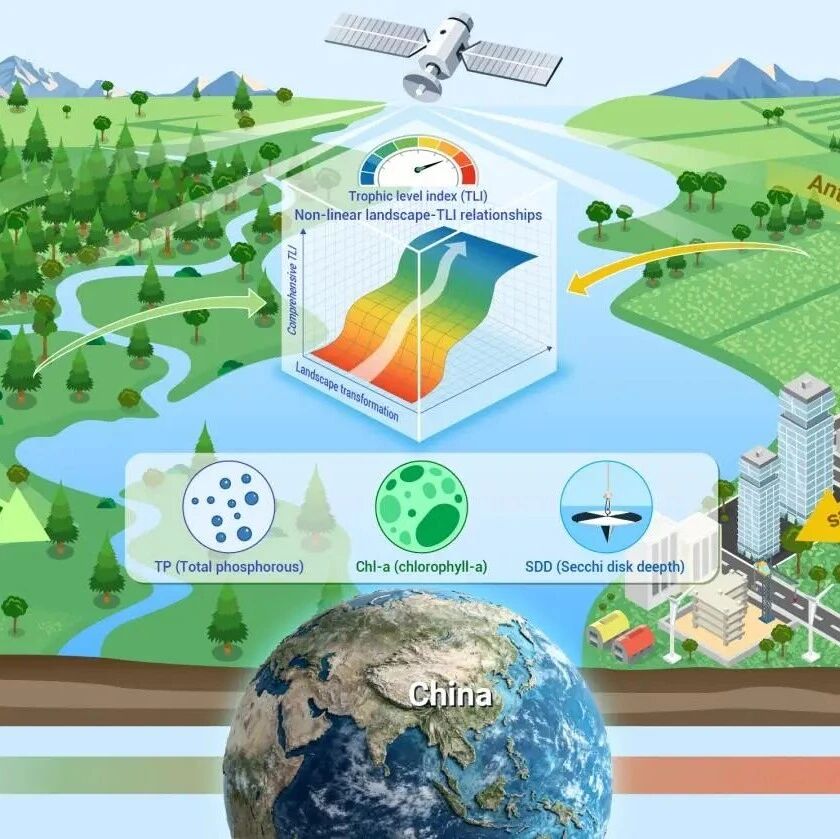 The Innovation Geoscience | 东北地理所在景观格局变化影响湖泊营养状态研究方面取得进展