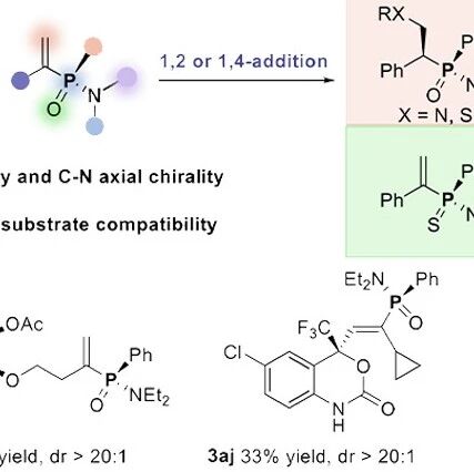 【Angew. Chem.】大湾区大学刘霖/中国科学技术大学张清伟：镍催化炔烃不对称氢膦酰胺化反应取得重要进展