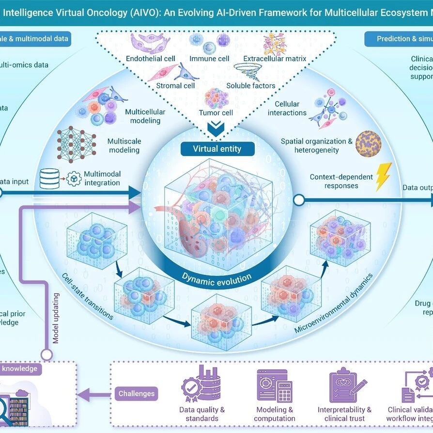 The Innovation Oncology | 人工智能虚拟肿瘤(AIVO)：开启跨尺度肿瘤数字孪生新时代