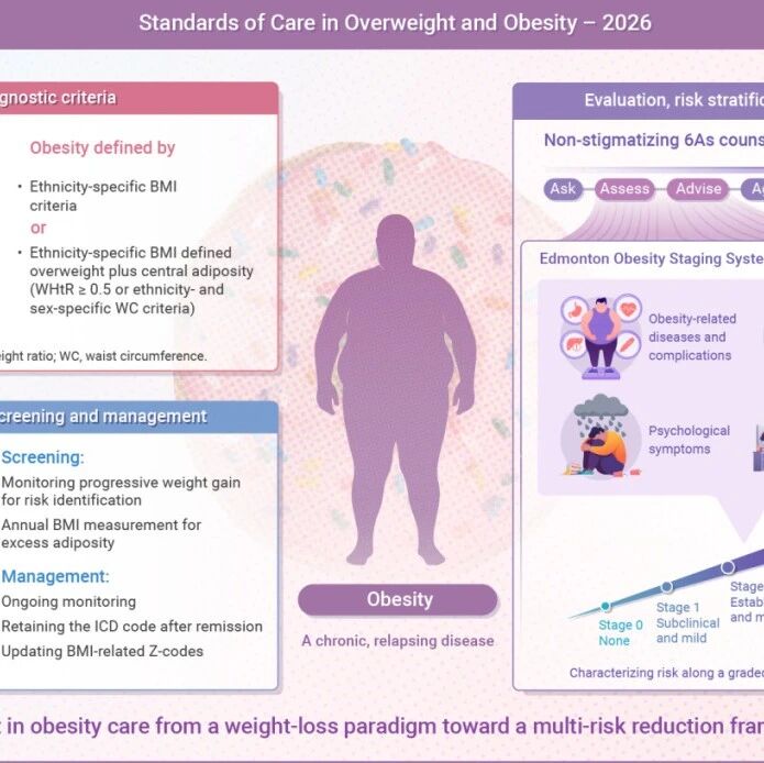 The Innovation Nutrition | 美国糖尿病协会发布《2026超重与肥胖诊疗标准》，指导成人肥胖的筛查、诊断、评估和分期