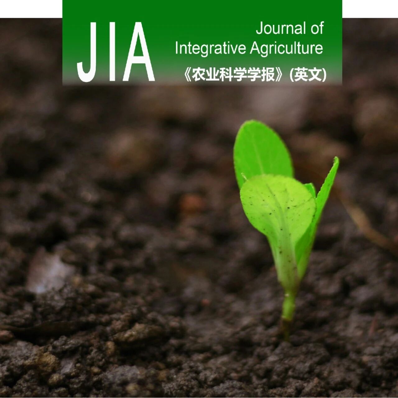 JIA | 长期施用有机肥提升土壤有机碳对气候变暖的敏感性：粪肥通过酚类物质和关键微生物而氮肥则相反