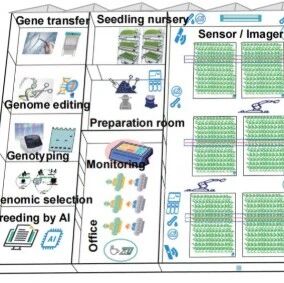 Mol Plant | 中国科学家领衔发表观点文章：植物育种革命——从田间到工厂