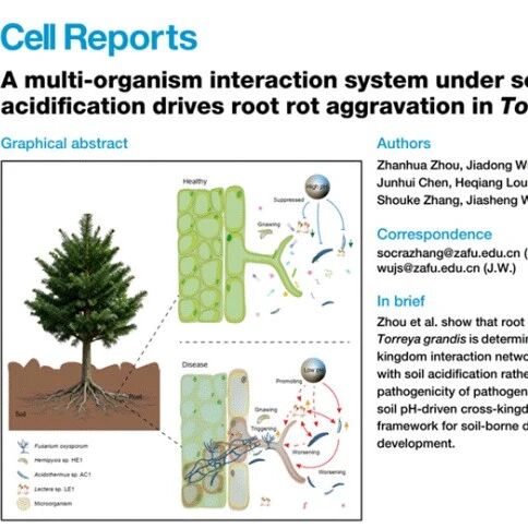 Cell Reports | 浙江农林大学发文揭示土壤酸化背景下根际多界生物互作驱动病害发生的新机制