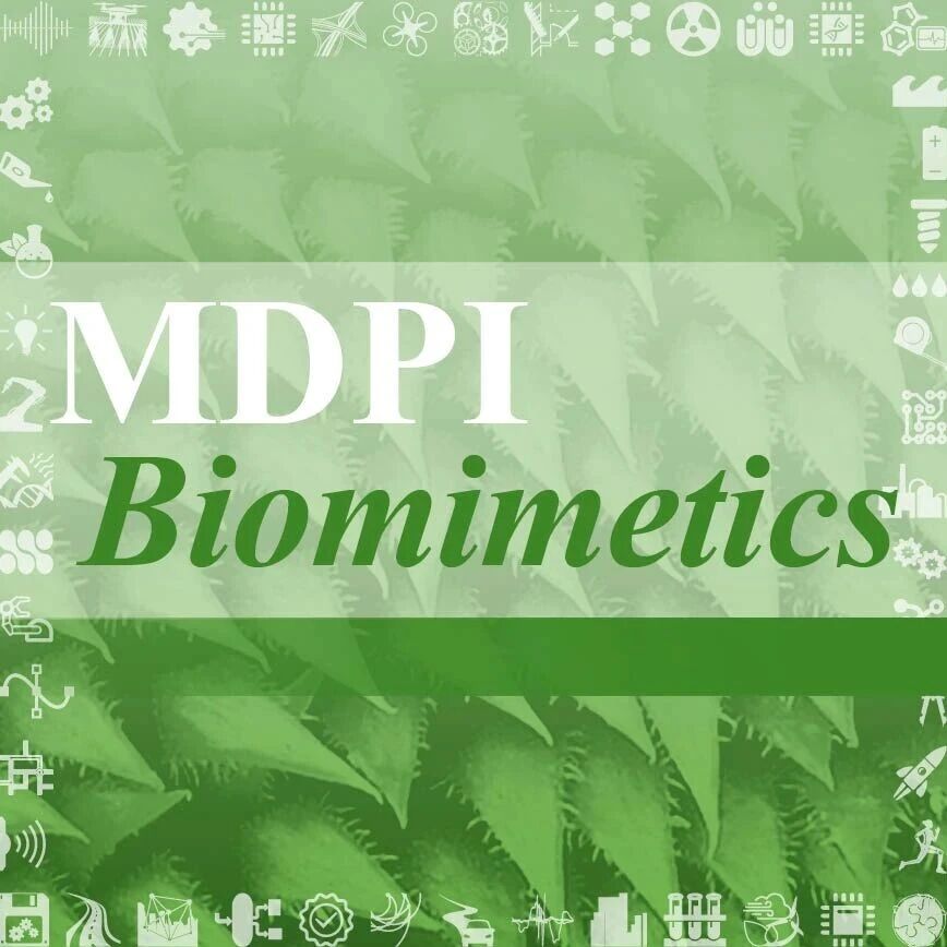 基于仿生拉胀材料的4D打印动脉支架开发 | MDPI Biomimetics