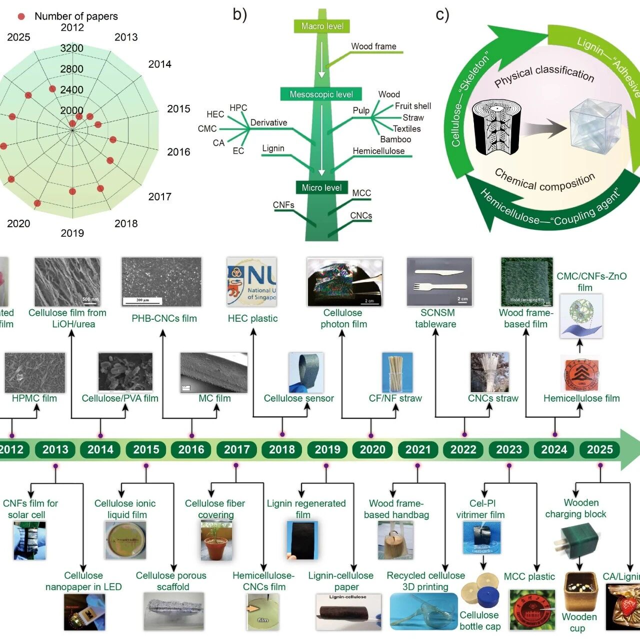 福建农林大学帅李教授团队 Prog. Polym. Sci.：木质纤维素基可降解塑料 - 从分子结构到多尺度功能设计