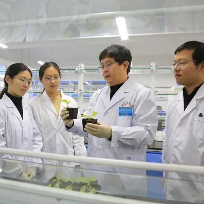 祝贺！河北农业大学发表首篇《Science》