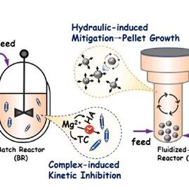南京信息工程大学黎飞虎团队Bioresource Technol.：新兴污染物如何重塑鸟粪石磷回收——批式与流化床反应器的动力学和机制解析