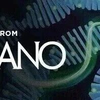 ACS Nano | 缝合生物电子界面：实现PEDOT基涂层持久粘附的机制、策略与验证标准