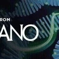 ACS Nano | 浙江大学：增强等离激元热电子超快注入实现高效水分解制氢