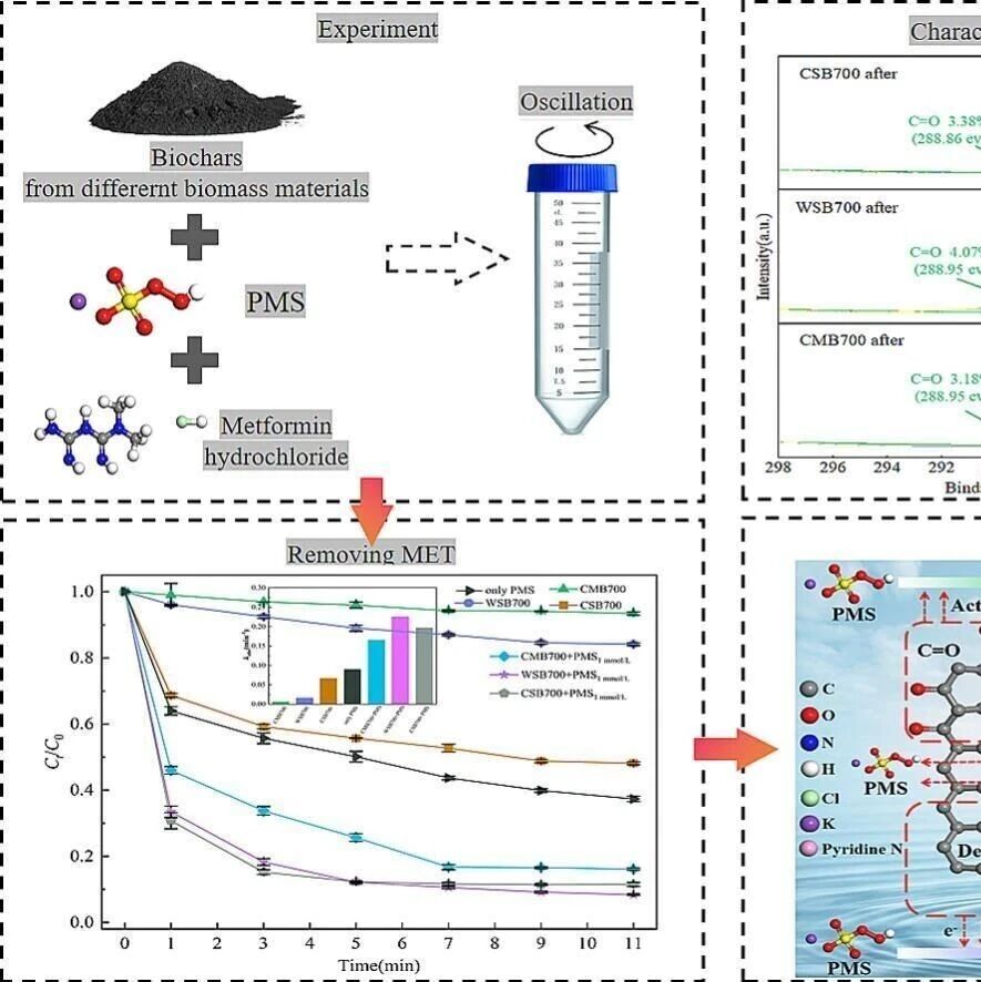 文献速递|兰州交通大学CEJ:源自不同生物质的生物炭可活化过一硫酸盐以降解二甲双胍：表面络合介导电子转移，从而产生1O2