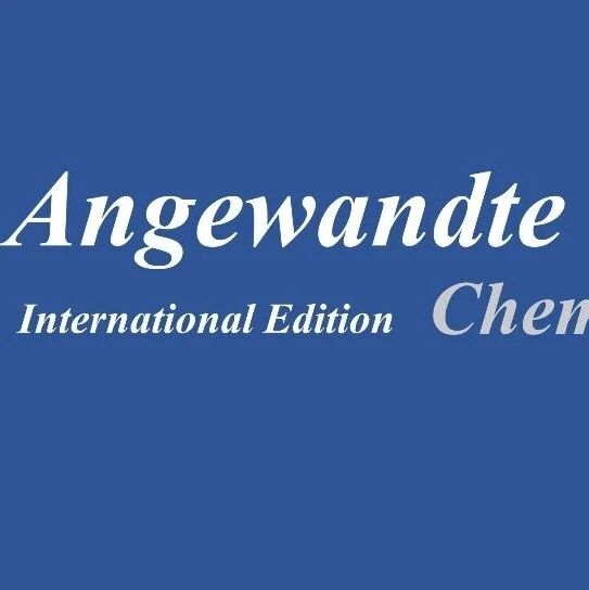 兰州交通大学褚克Angew.：超声电解策略助力高效甲胺合成