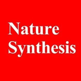 作者仅仅4人！南开大学「国家高层次青年人才」仇友爱，最新Nature Synthesis！