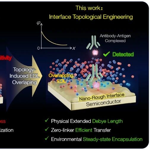 天津大学《ACS Nano》：稳·准·敏！协同界面拓扑工程赋能血清sIgE检测