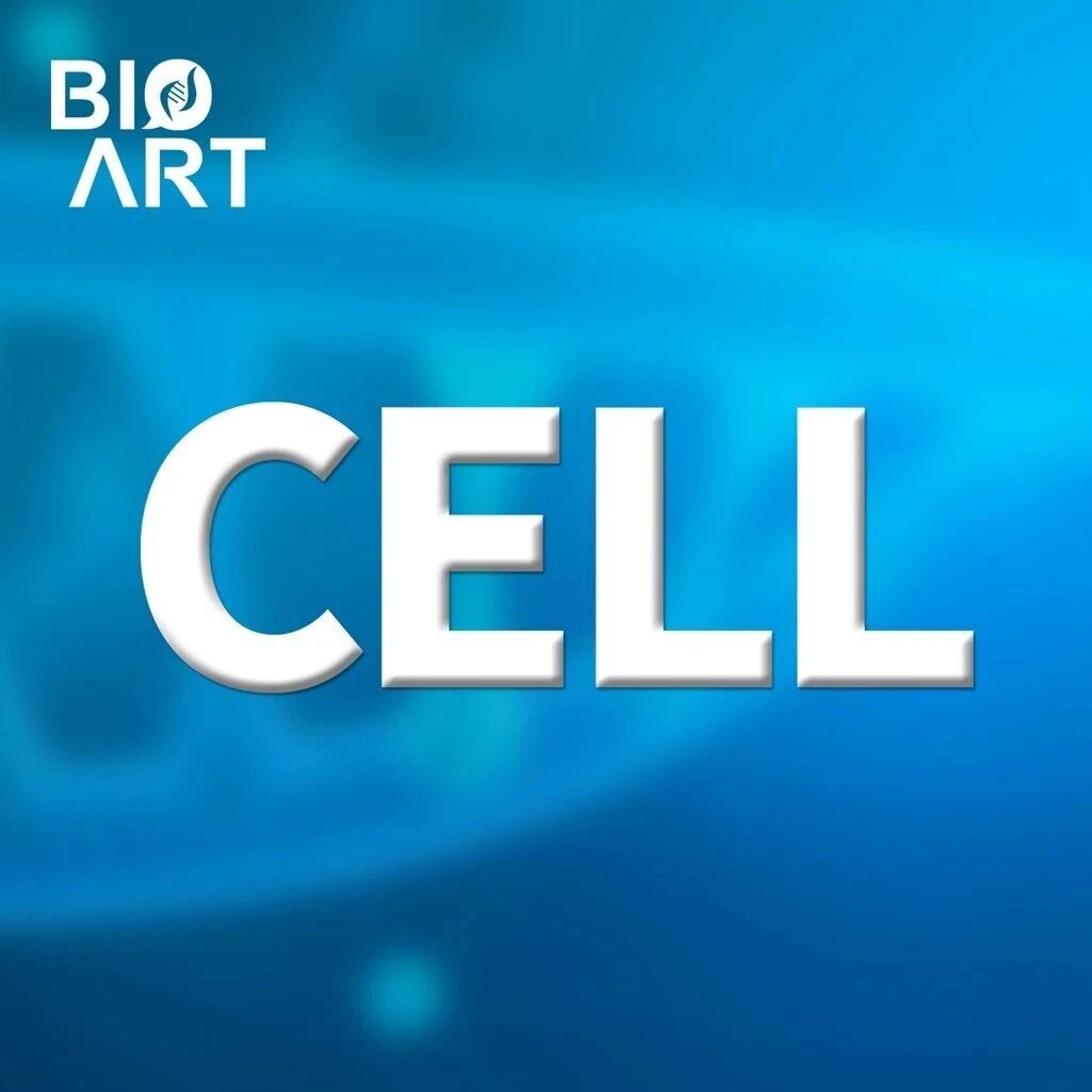 Cell | PIEZO1-SLC7A11轴连接复发性尿路感染与慢性疼痛