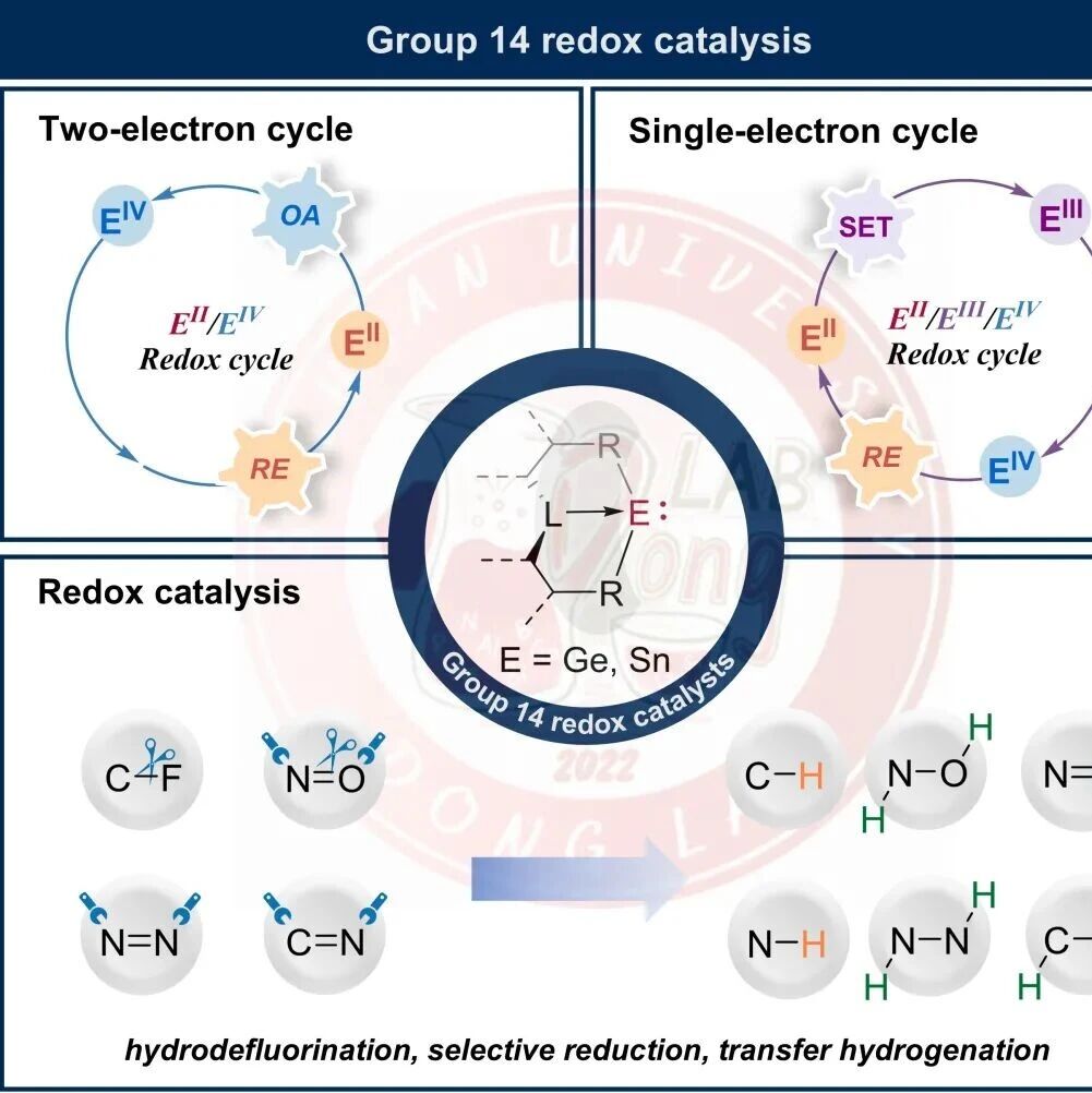 四川大学董召文团队Acc. Chem. Res：主族金属变价催化：锗与锡的新前沿