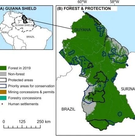 预测新热带“淘金热”导致的森林、碳储量和生物多样性的丧失