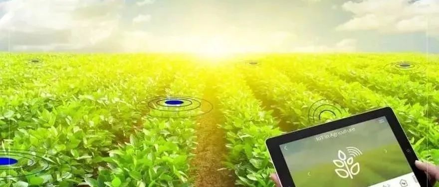 ChatGPT在植物科学研究领域的应用方法整理-建议收藏