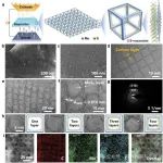 复旦大学《Small》：有序纳米石墨笼封装少层MoS2用于锂-硫电池多硫化物捕获转化