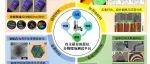 复旦车仁超团队Nature Communications: 高居里温度二维铁磁Fe3GaTe2中混合型拓扑磁结构的新发现！
