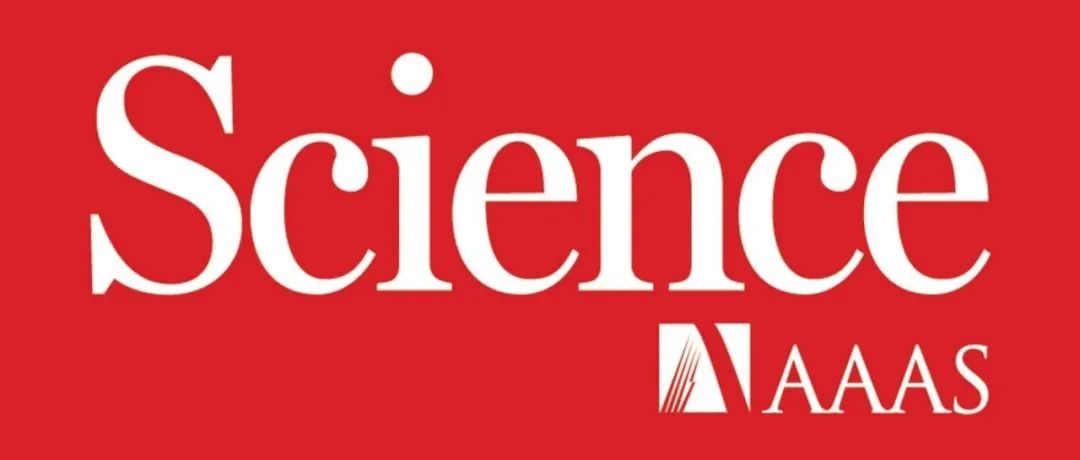 ​赞！鲍哲南高徒，北京大学雷霆研究员，最新Science！