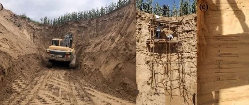 【视点】西安理工大学李鹏教授团队：侵蚀淤积体形成过程中土壤有机碳矿化的时间效应