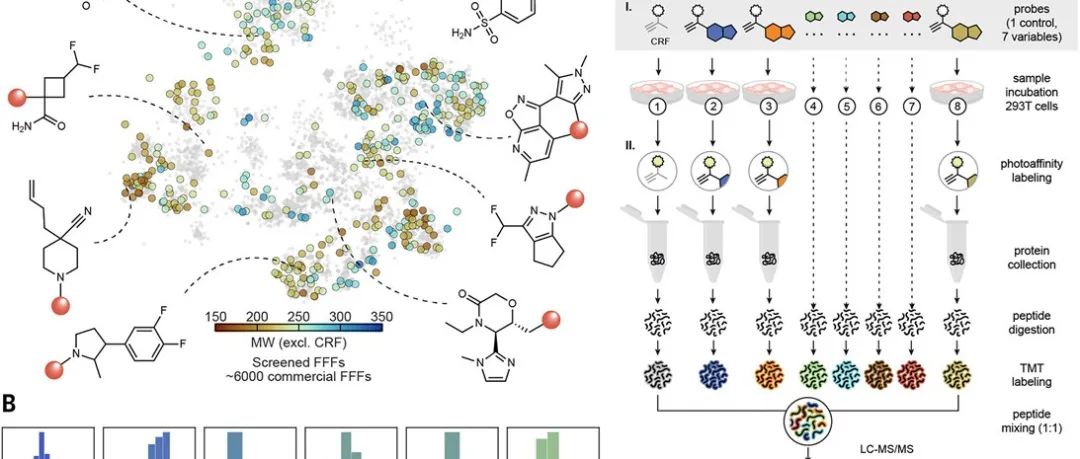 Science | 基于光交联化学蛋白质组学揭示并预测配体-蛋白相互作用