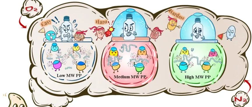 哈工大任南琪院士团队丁杰、杨珊珊与斯坦福大学吴唯民ES&T：聚丙烯塑料生物降解对分子量依赖——宿主-微生物群落协同降解微塑料