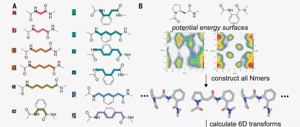Science｜David Baker团队：用计算方法发现化学结构多样的大环分子