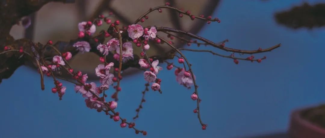 何青翰 | “家国天下”与中华民族现代文明的秩序精神