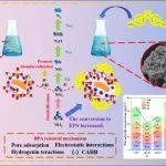 JHM专栏｜西建大苏俊峰团队：Stutzerimonas sp .ZW5通过微生物诱导钙沉淀同时去除工业废水中的钙、磷和双酚A