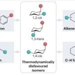 研究前沿：武汉大学Nature Reviews Chemistry | 六元环