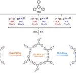 华科大谭必恩教授/中南民大张道洪团队 Macromolecules ：混合溶剂编织策略构筑具有超高孔体积的分级多孔超交联聚合物