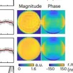 研究进展：南方科技大学Nature Methods | 单分子定位显微镜SMLM