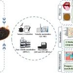 陈坚院士团队张娟教授课题组在Food Chemistry发表不同产区水仙茶风味差异及其微生物关联代谢组学分析的研究成果
