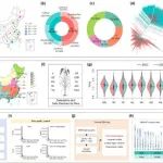 文献解读 | 中国农业科学院作物科学研究所构建基于深度学习的水稻全基因组选择新方法