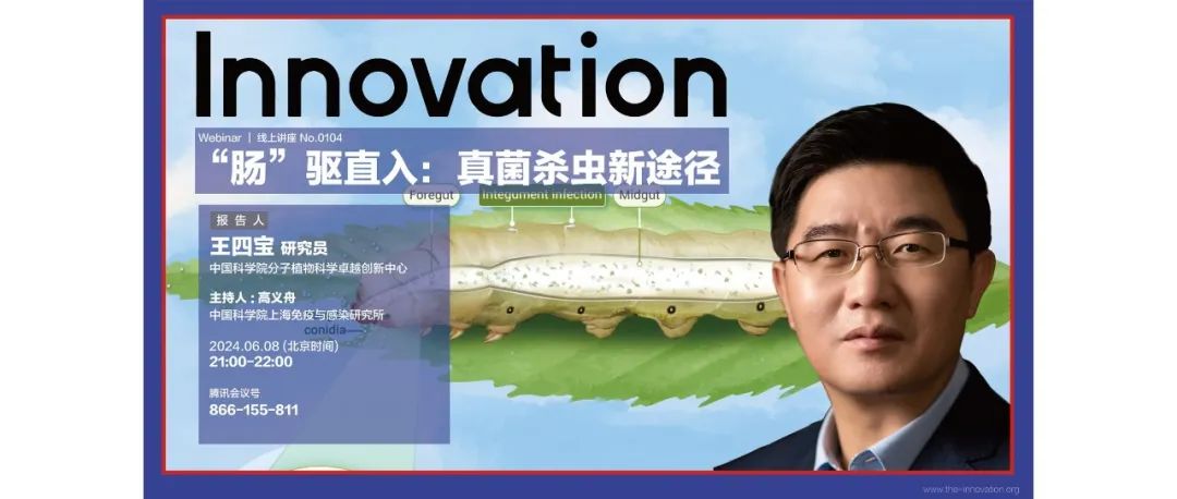 Innovation Webinar | 王四宝：“肠”驱直入：真菌杀虫新途径