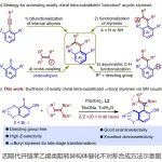 中国药科大学高尚/姚和权团队：轴手性苯乙烯类化合物不对称合成新方法