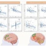 BRAIN BEHAV IMMUN | 四川大学华西医院邱昌建/贾志云教授团队揭示IL-1β与抑郁症状的关系