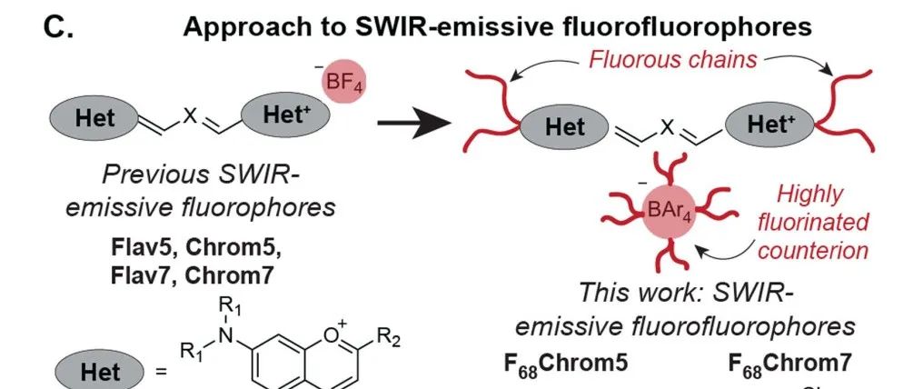 Angew. Chem. In. Ed｜短波红外荧光团用于体内多色成像