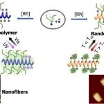 上海大学李文/张阿方教授团队《Macromolecules》：热/光双响应性螺旋树枝化聚苯乙炔