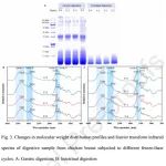 Food Chemistry | 基于蛋白质结构变化的冻融循环对鸡肉体外消化影响机制分析