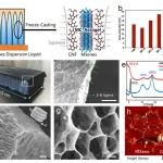 天科大单博/南开黄毅《Nano-Micro Lett.》：结构极化调制显著增强MXene对低频电磁波的吸收