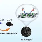 广州大学《Energy & Fuels》：MOF衍生的氮掺杂碳包覆Ni催化剂，用于高选择性CO2电还原制备CO