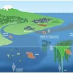 焦念志院士等在《Nature Reviews Microbiology》发表综述性文章！