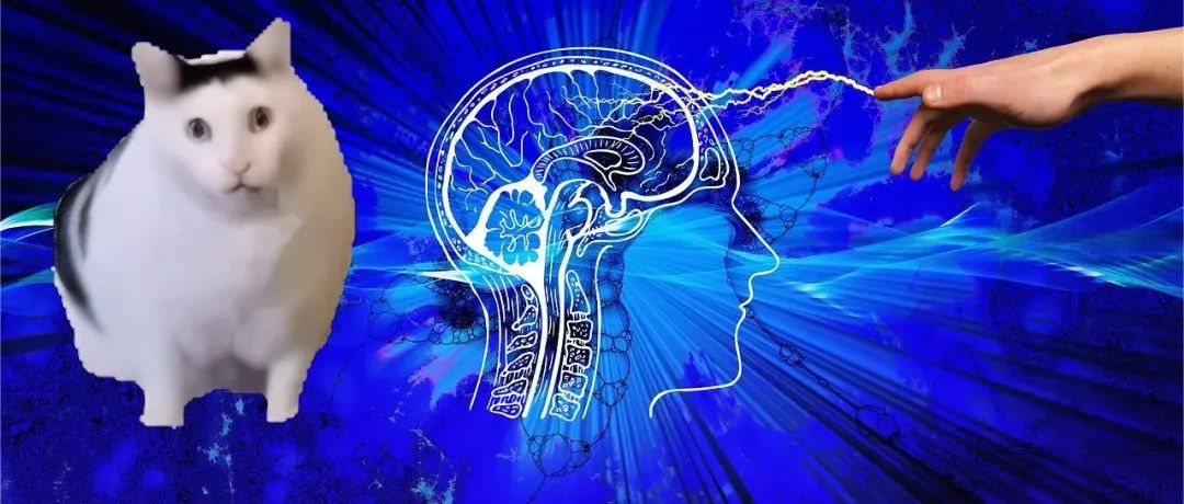 猫咪怎样启发了人工神经网络的诞生？