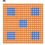 一作兼通讯《Matter》：长程有序量子点异质结生长机理——定向附着