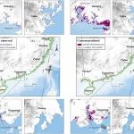 东北地理所在气候变化对全国红树林湿地分布及碳汇影响方面取得进展