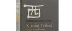 【新书介绍】西戎：东周时代戎族史迹的考古学探索