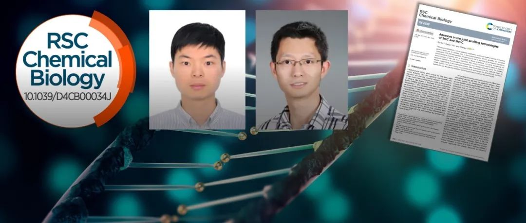 北京大学伊成器团队: 5mC 和 5hmC 表观遗传修饰联合分析技术进展